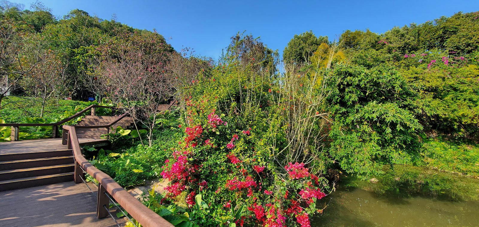 芝山公园 参考图 1